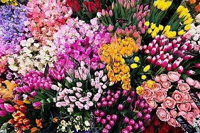 宫崎英高不介意《艾尔登法环》无缝联机Mod 未来会完善合作玩法